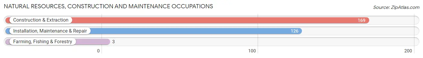 Natural Resources, Construction and Maintenance Occupations in Highland Park borough