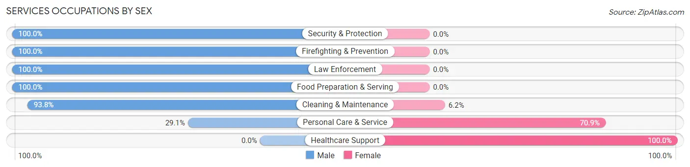 Services Occupations by Sex in Hightstown borough