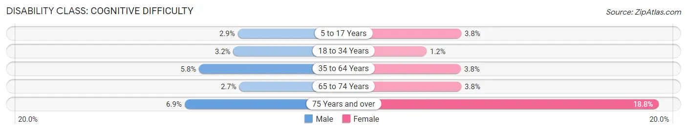 Disability in Hillsborough: <span>Cognitive Difficulty</span>