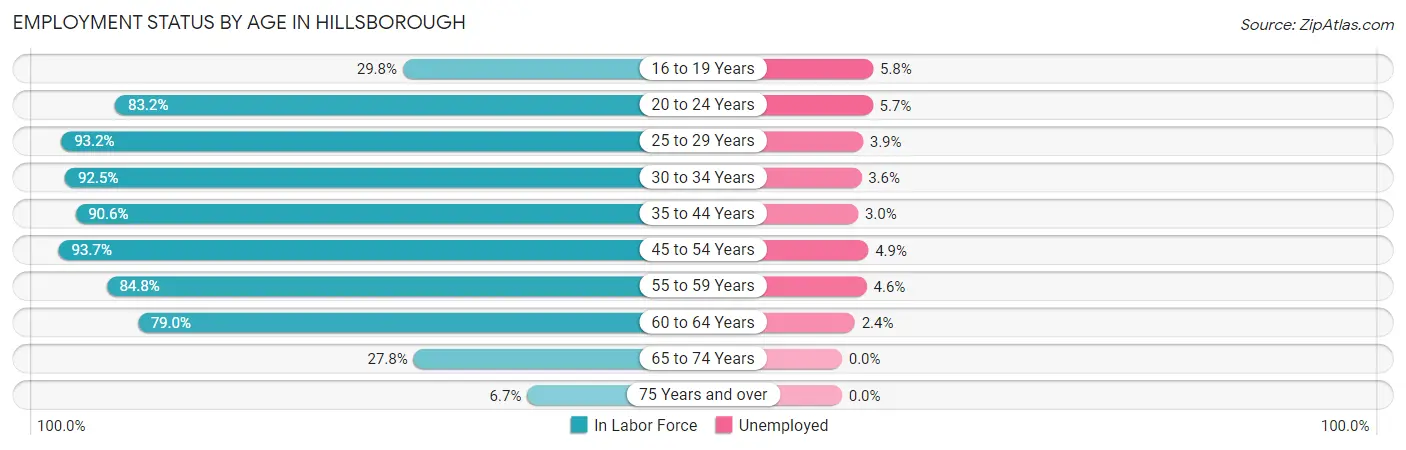 Employment Status by Age in Hillsborough