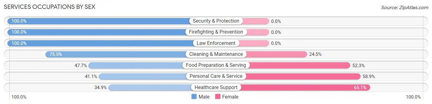 Services Occupations by Sex in Hillsborough