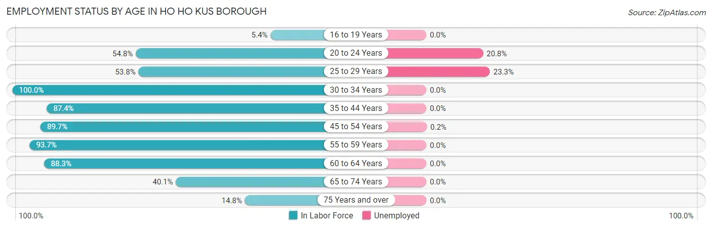 Employment Status by Age in Ho Ho Kus borough