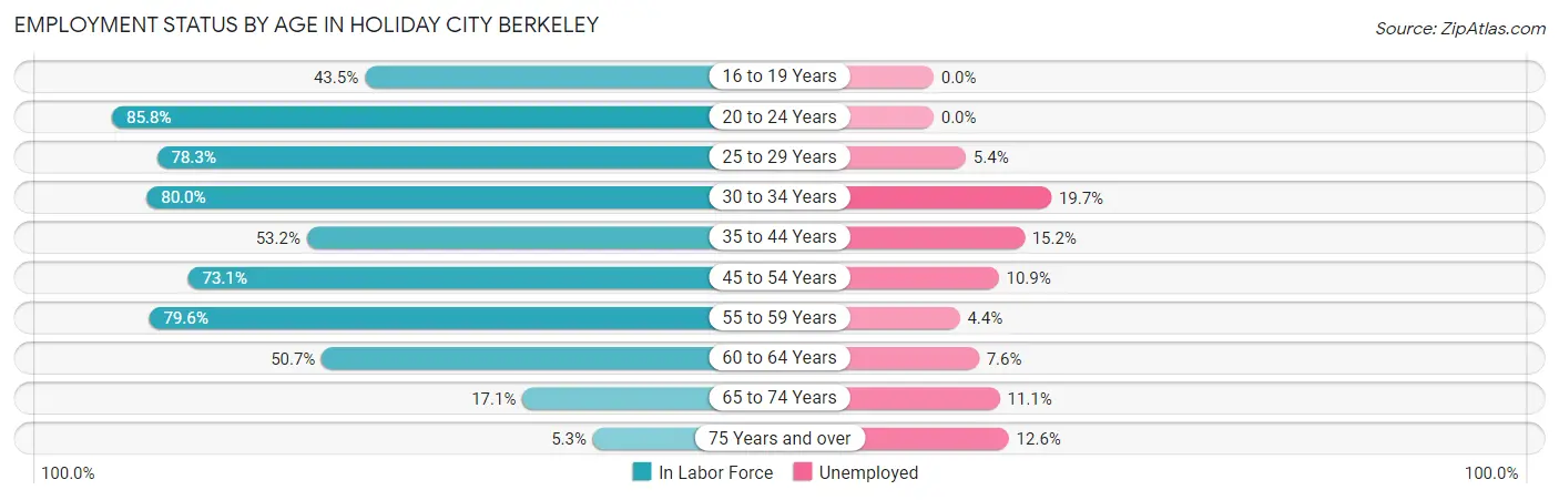 Employment Status by Age in Holiday City Berkeley