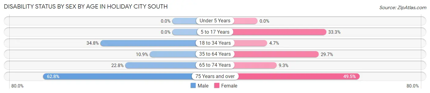 Disability Status by Sex by Age in Holiday City South