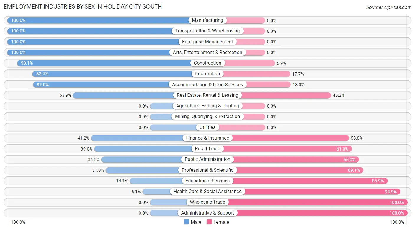 Employment Industries by Sex in Holiday City South