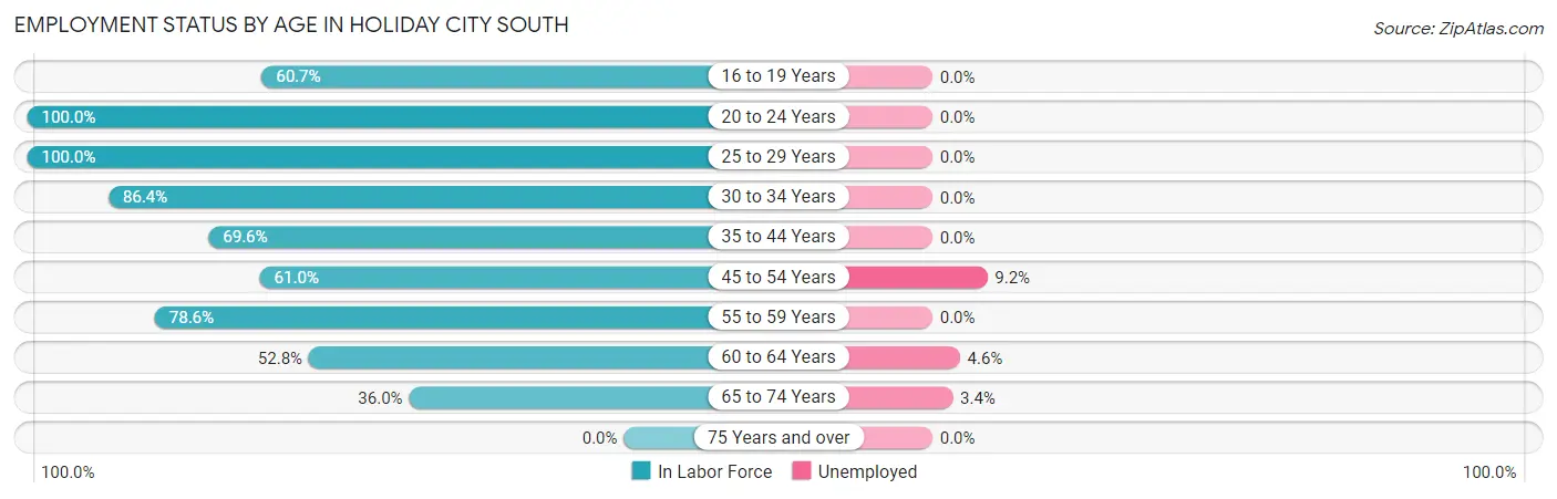 Employment Status by Age in Holiday City South