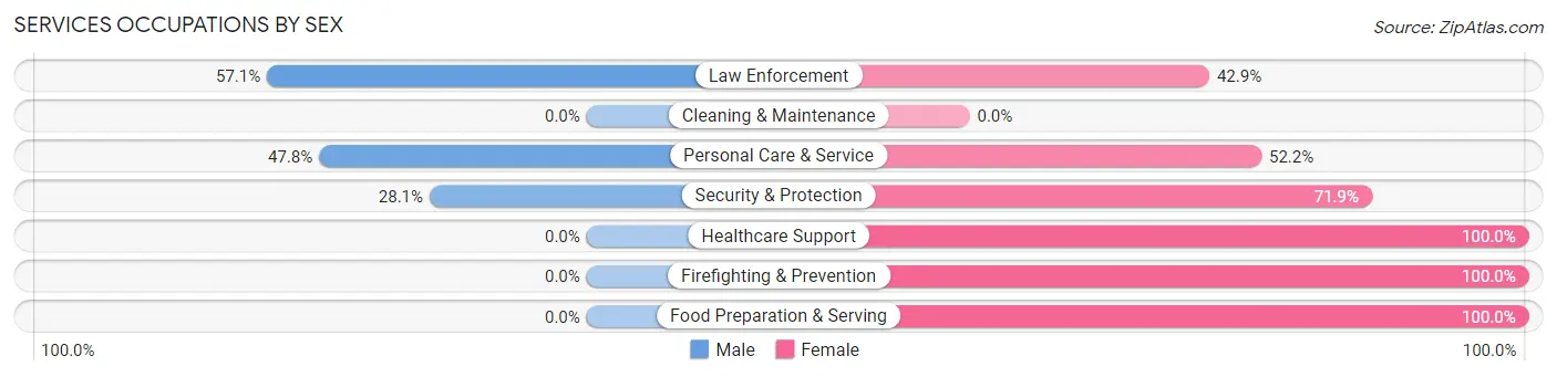 Services Occupations by Sex in Holiday City South