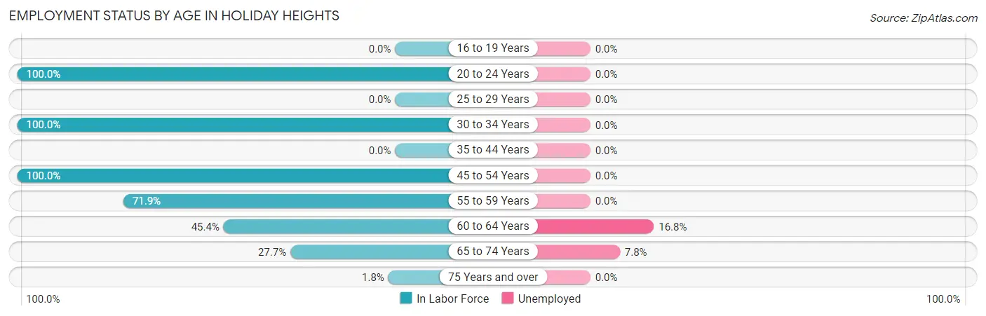 Employment Status by Age in Holiday Heights
