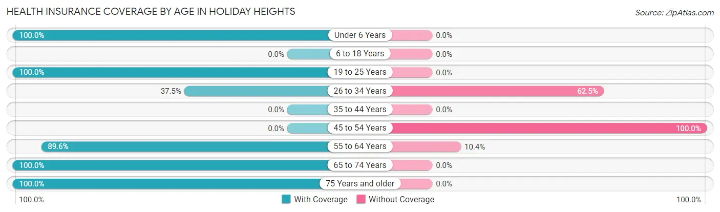 Health Insurance Coverage by Age in Holiday Heights