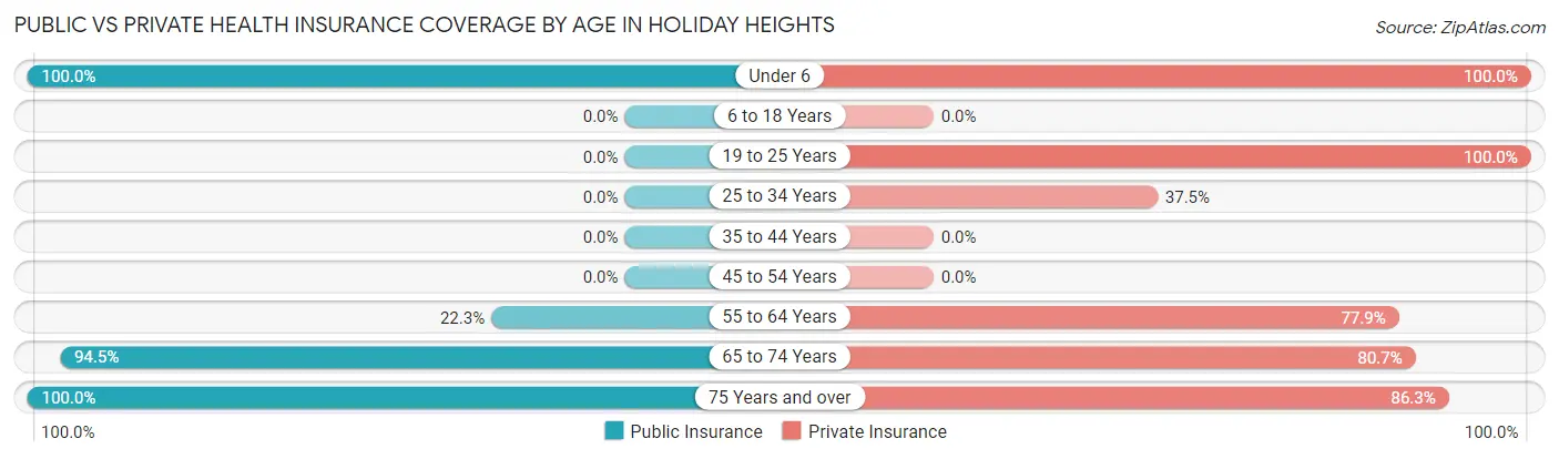 Public vs Private Health Insurance Coverage by Age in Holiday Heights