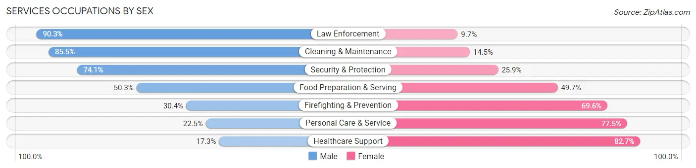 Services Occupations by Sex in Hopatcong borough