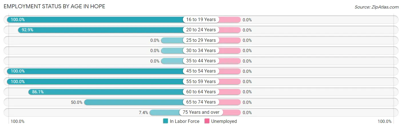 Employment Status by Age in Hope