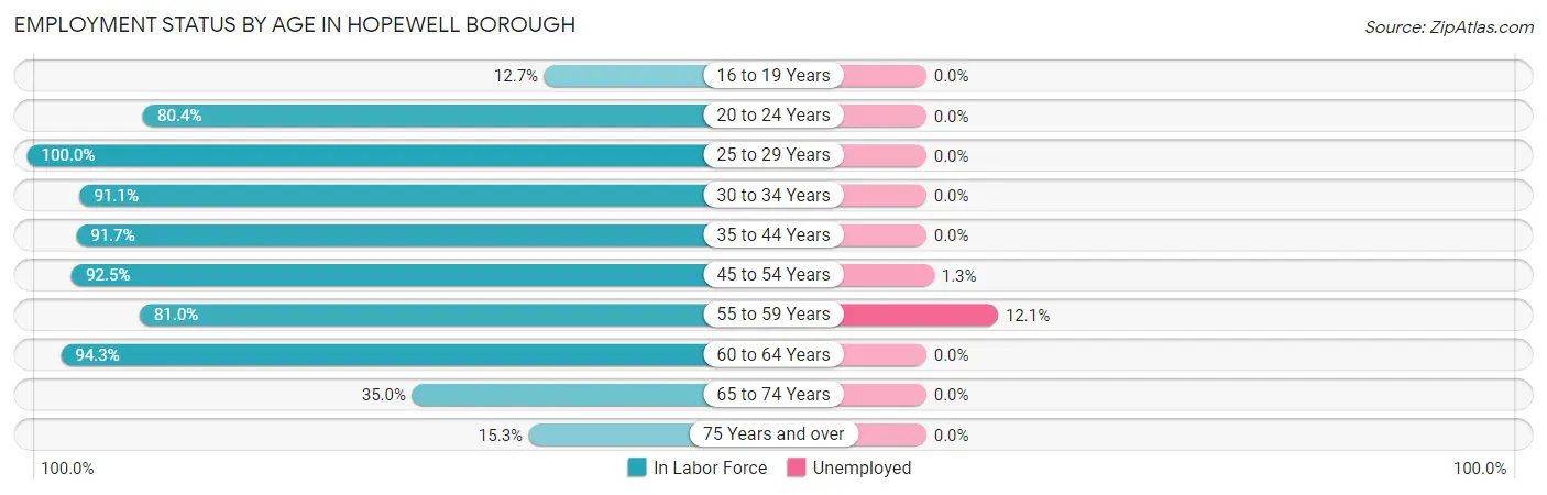 Employment Status by Age in Hopewell borough