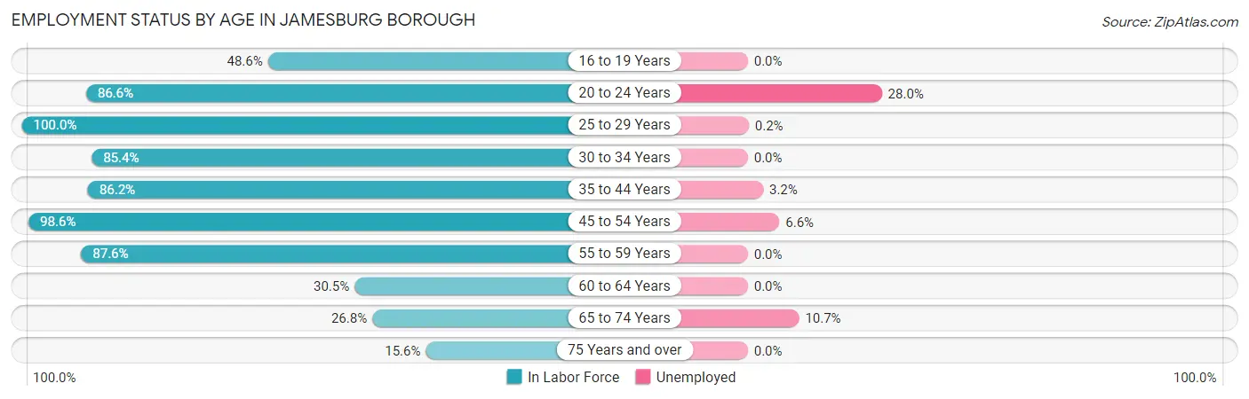 Employment Status by Age in Jamesburg borough