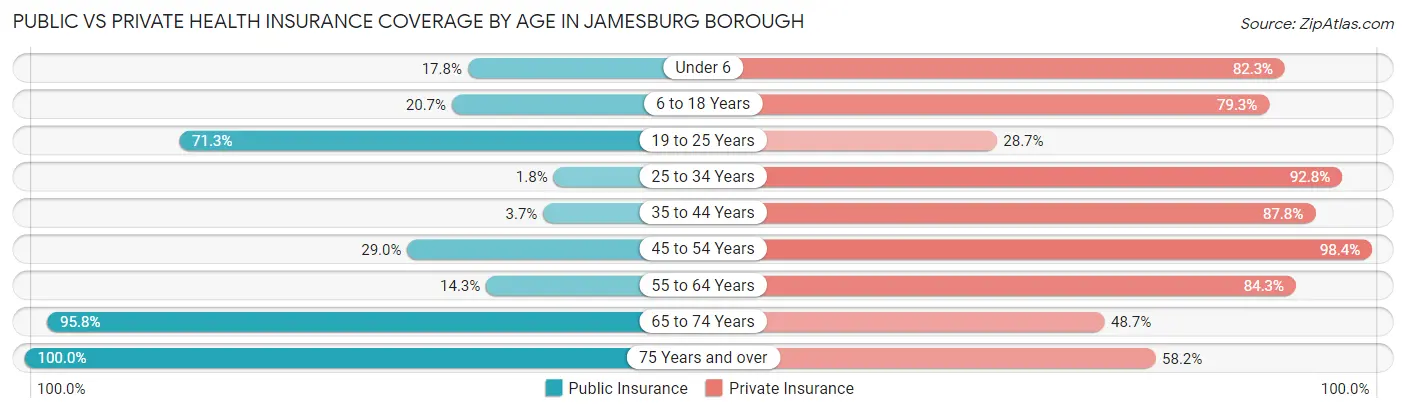 Public vs Private Health Insurance Coverage by Age in Jamesburg borough