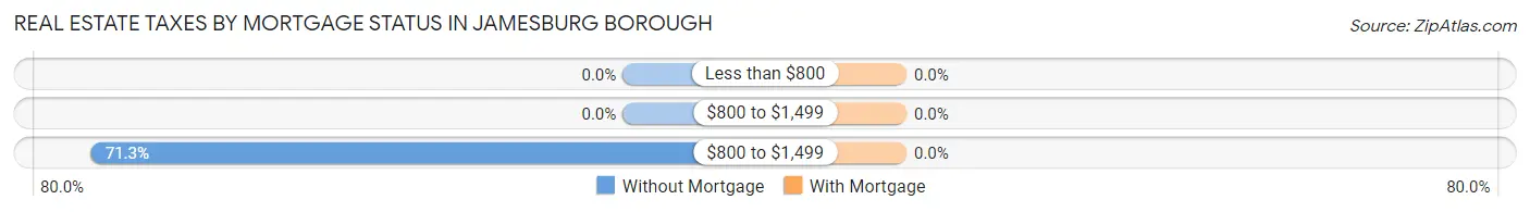 Real Estate Taxes by Mortgage Status in Jamesburg borough