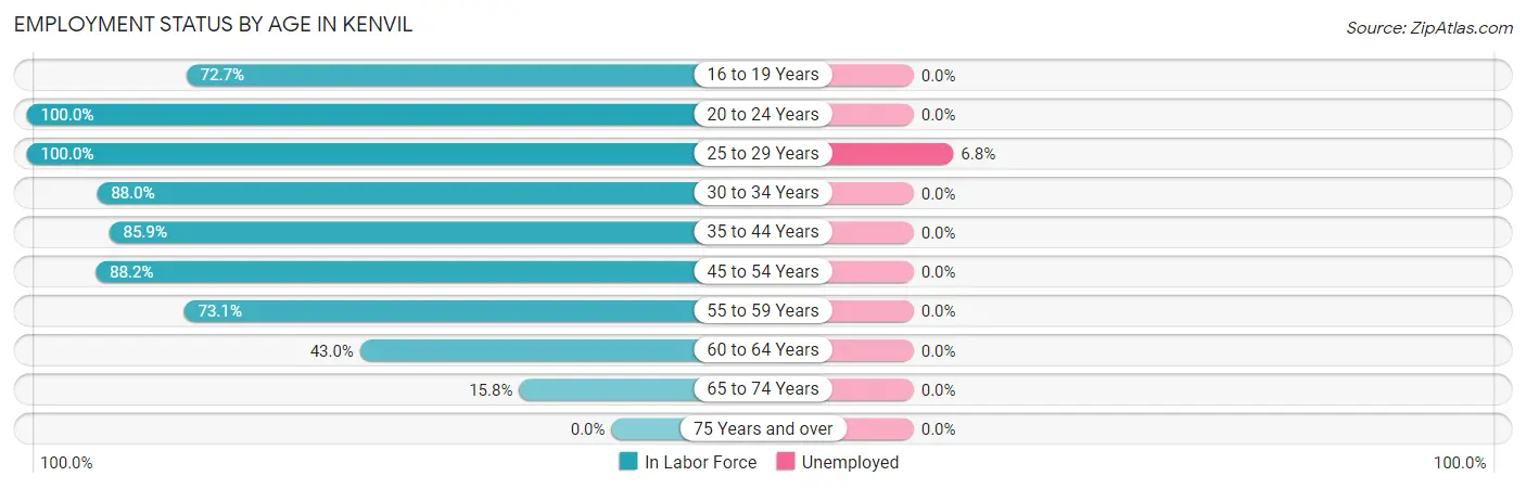 Employment Status by Age in Kenvil