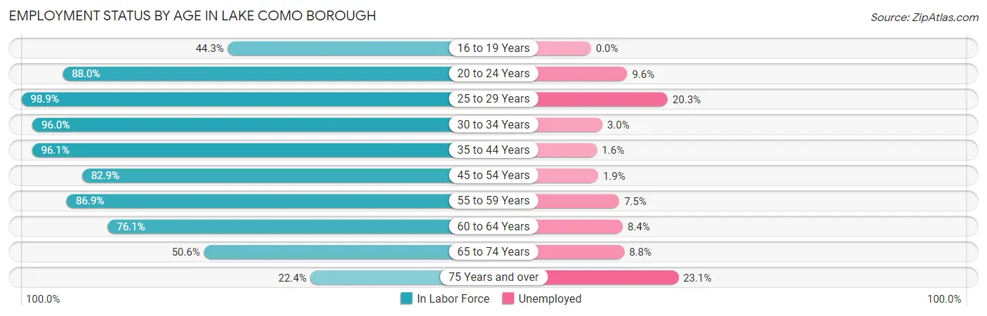 Employment Status by Age in Lake Como borough