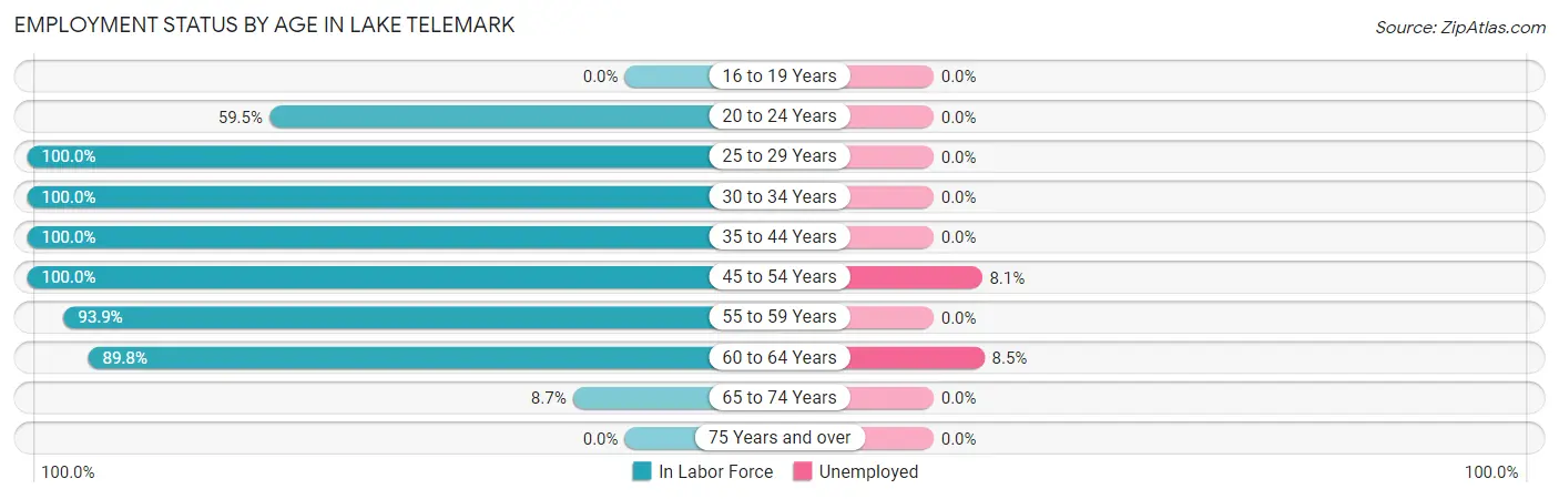 Employment Status by Age in Lake Telemark