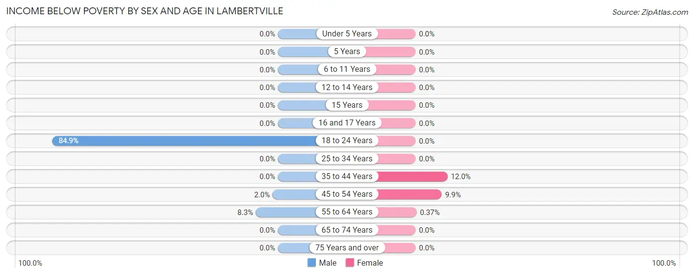 Income Below Poverty by Sex and Age in Lambertville
