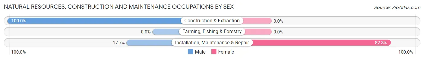 Natural Resources, Construction and Maintenance Occupations by Sex in Lambertville