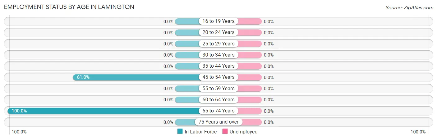Employment Status by Age in Lamington