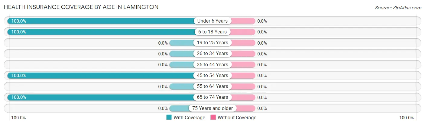 Health Insurance Coverage by Age in Lamington