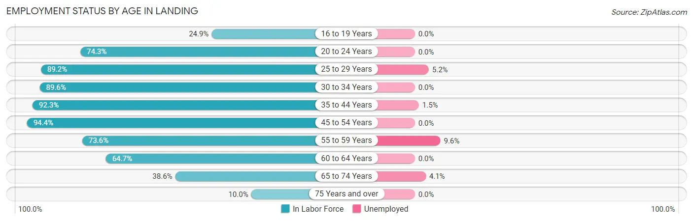 Employment Status by Age in Landing