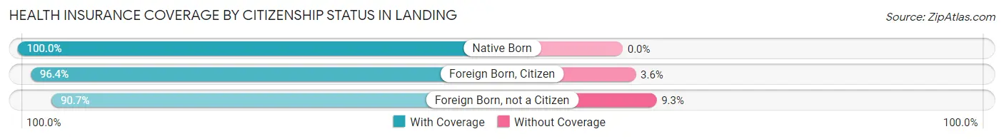 Health Insurance Coverage by Citizenship Status in Landing