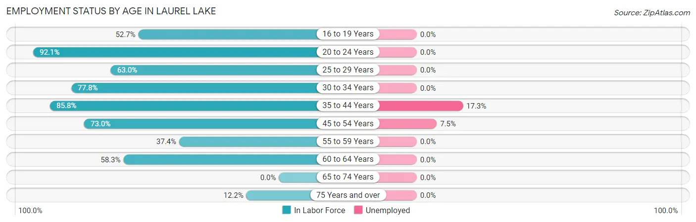 Employment Status by Age in Laurel Lake