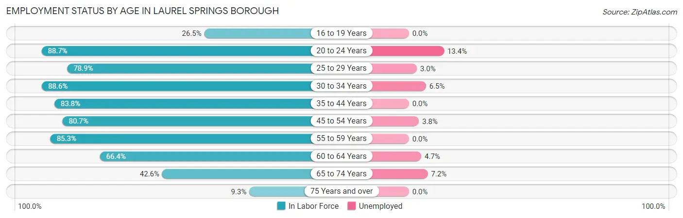 Employment Status by Age in Laurel Springs borough