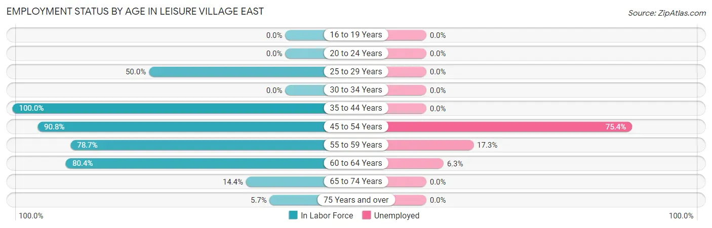 Employment Status by Age in Leisure Village East