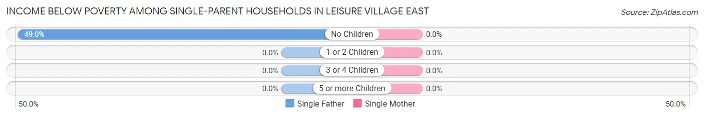 Income Below Poverty Among Single-Parent Households in Leisure Village East