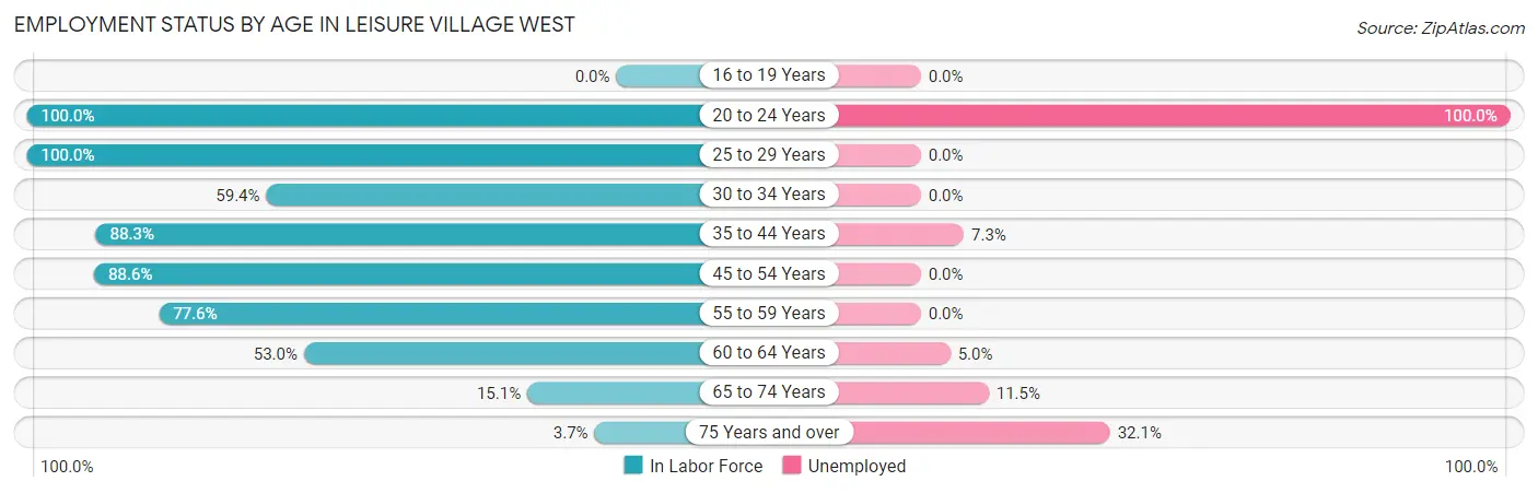 Employment Status by Age in Leisure Village West
