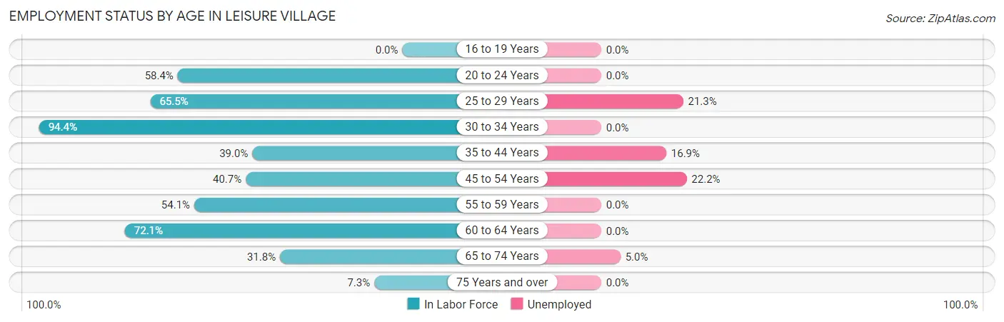 Employment Status by Age in Leisure Village
