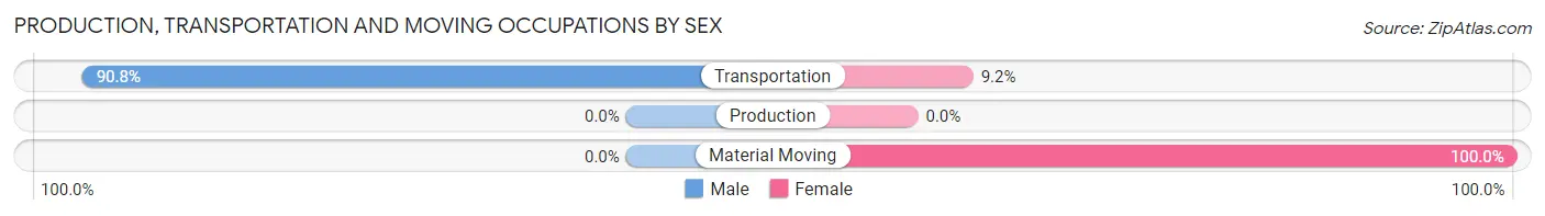 Production, Transportation and Moving Occupations by Sex in Leisure Village