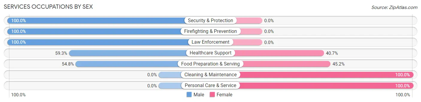 Services Occupations by Sex in Leisure Village