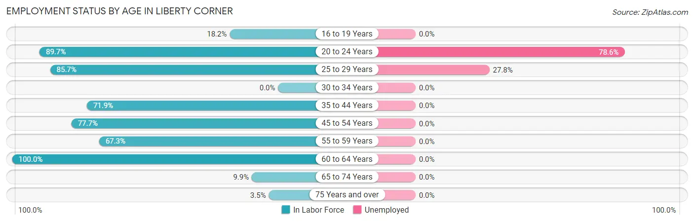 Employment Status by Age in Liberty Corner