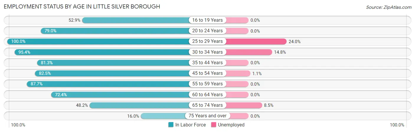 Employment Status by Age in Little Silver borough