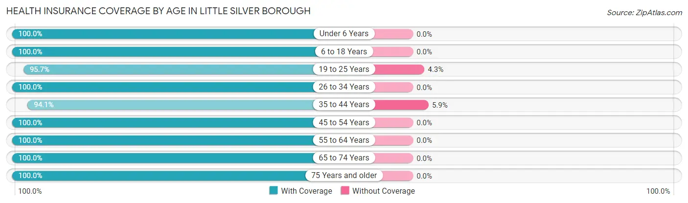 Health Insurance Coverage by Age in Little Silver borough