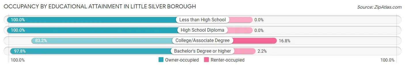 Occupancy by Educational Attainment in Little Silver borough