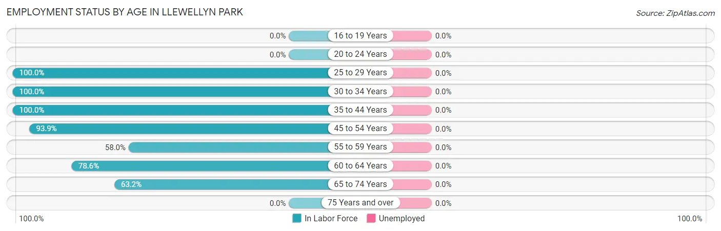 Employment Status by Age in Llewellyn Park