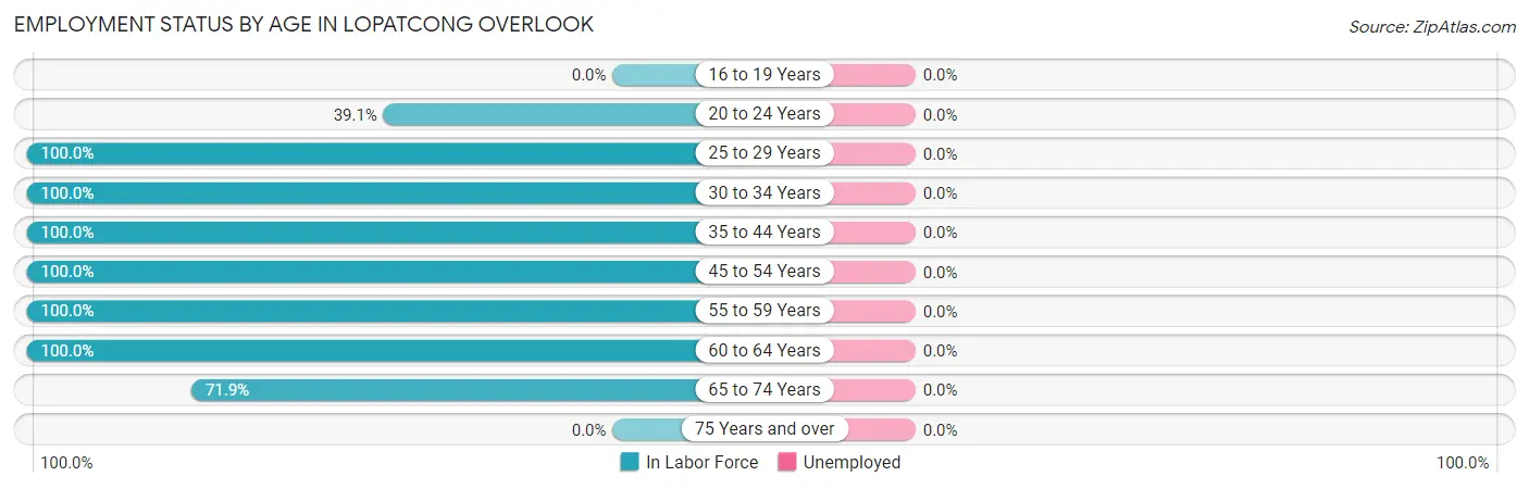 Employment Status by Age in Lopatcong Overlook