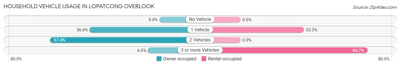 Household Vehicle Usage in Lopatcong Overlook