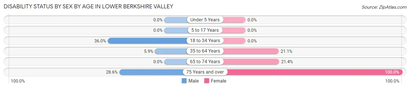 Disability Status by Sex by Age in Lower Berkshire Valley
