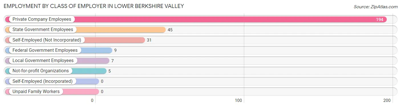 Employment by Class of Employer in Lower Berkshire Valley