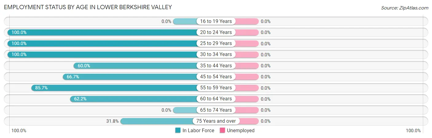 Employment Status by Age in Lower Berkshire Valley