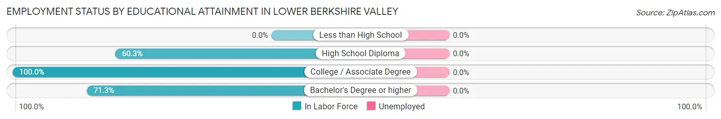 Employment Status by Educational Attainment in Lower Berkshire Valley
