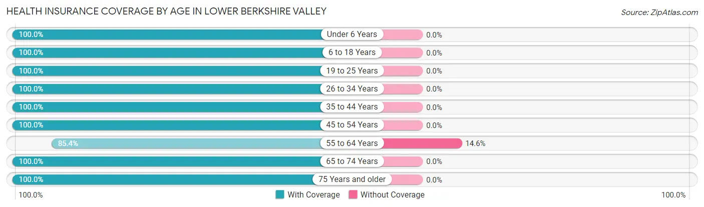 Health Insurance Coverage by Age in Lower Berkshire Valley