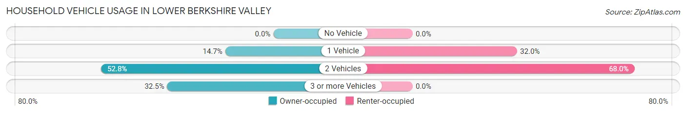 Household Vehicle Usage in Lower Berkshire Valley